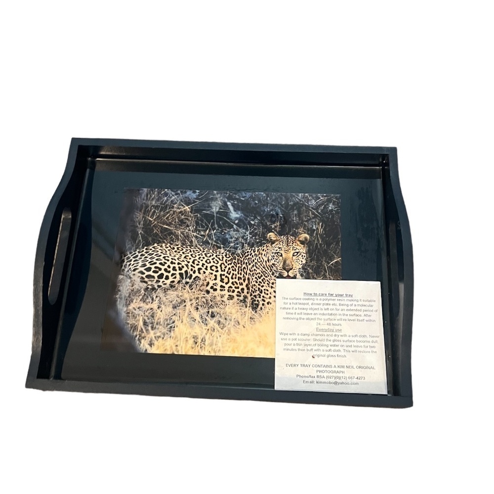 Kim Neil Original Photo‎ of Leopard Tray